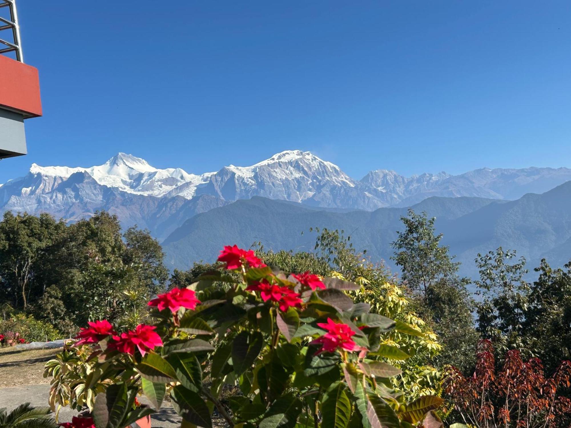 Hotel Pristine Himalaya Pokhara Exterior photo
